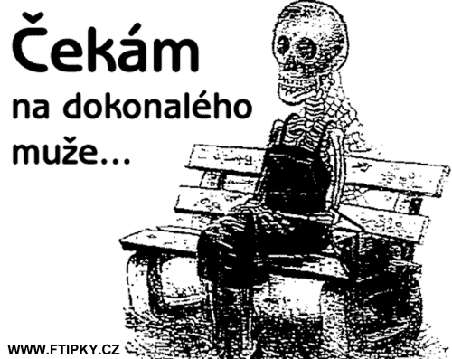 cekam_na_muze.gif